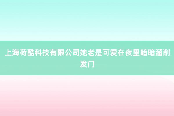 上海荷酷科技有限公司她老是可爱在夜里暗暗溜削发门
