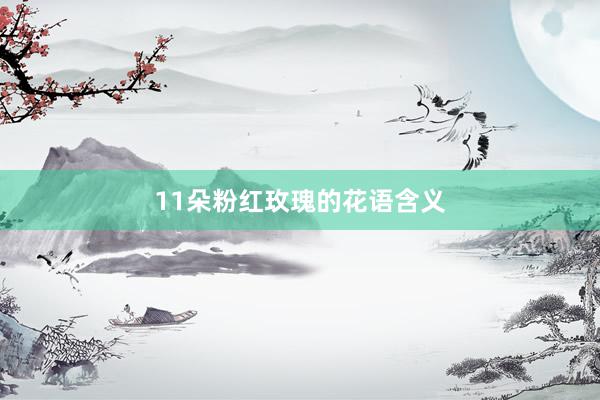 11朵粉红玫瑰的花语含义