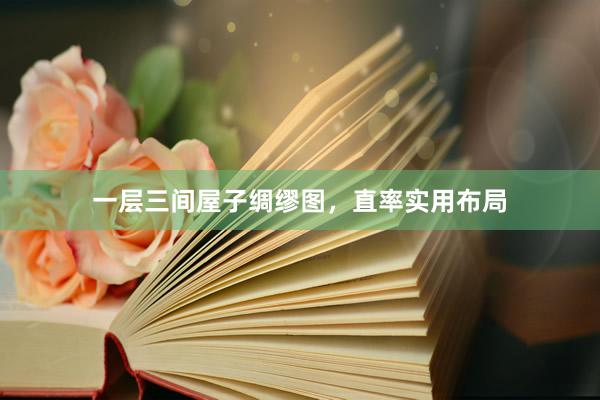 一层三间屋子绸缪图，直率实用布局