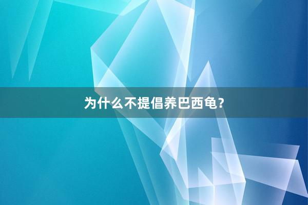 为什么不提倡养巴西龟?